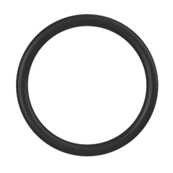 O-Ring -48 Viton czarny, 75,79x3,53